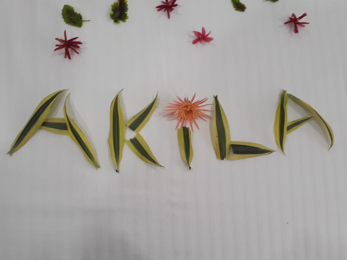 Akila Holiday Resort Хабарана Екстер'єр фото